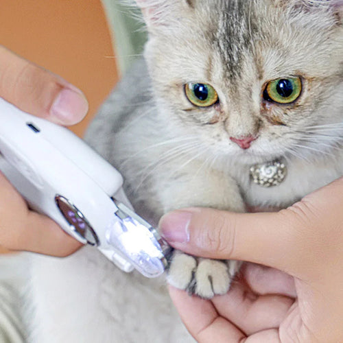 2-in-1 Pet Nail Clipper & Electric Grinder | Dual LED Lights & Splash Guard